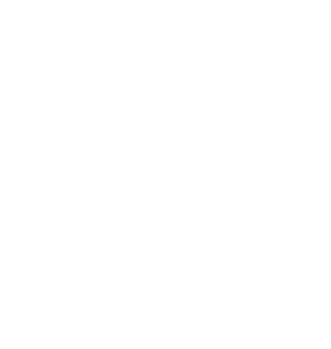 The Bandit Logo